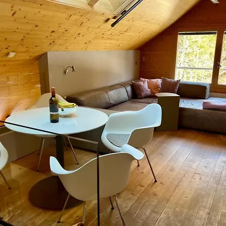 Schaschl Apartment *